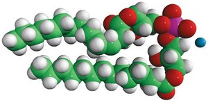 14:0 BMP (S,R) bis(monomyristoylglycero)phosphate (S,R Isomer) (ammonium salt), powder