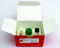 NeuroPorter™ Transfection Kit Lipid formulation for nucleic acid transfections in neuronal and glial cells