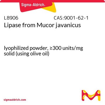 Lipase from Mucor javanicus lyophilized powder, &#8805;300&#160;units/mg solid (using olive oil)