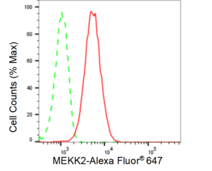 KD-Validated Anti MAP3K2 Antibody, clone 24GB260, Rabbit Monoclonal clone 24GB260, recombinant rabbit monoclonal, expressed in HEK293 cells
