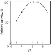 Choline Oxidase from Alcaligenes sp. lyophilized powder, &#8805;10&#160;units/mg solid