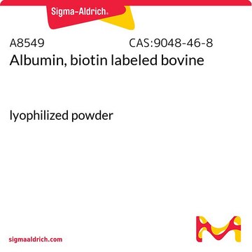 Albumin, biotin labeled bovine lyophilized powder