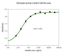 Leptin from rat &#8805;97% (SDS-PAGE), recombinant, expressed in E. coli, lyophilized powder