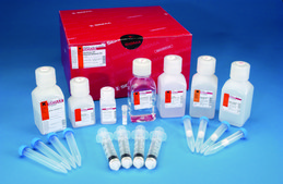 GenElute&#8482; HP Plasmid Maxiprep Kit sufficient for 25&#160;purifications