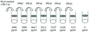 Human BMP-4 ELISA Kit for serum, plasma, cell culture supernatant and urine