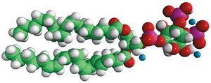 18:0-20:4 PI(4,5)P2 1-stearoyl-2-arachidonoyl-sn-glycero-3-phospho-(1&#8242;-myo-inositol-4&#8242;,5&#8242;-bisphosphate) (ammonium salt), powder