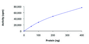 BMPR2 (174-end), active, His tagged human PRECISIO&#174; Kinase, recombinant, expressed in baculovirus infected Sf9 cells, &#8805;70% (SDS-PAGE), buffered aqueous glycerol solution