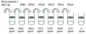 Human TGF-β 2 ELISA Kit for serum, plasma, and cell culture supernatants