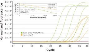 KAPA SYBR&#174; FAST One-Step suitable for RT-PCR, 2&#160;×, Universal