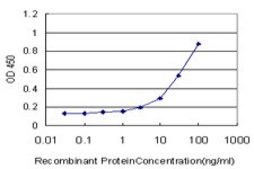 Monoclonal Anti-SYT1 antibody produced in mouse clone 1A6, purified immunoglobulin, buffered aqueous solution