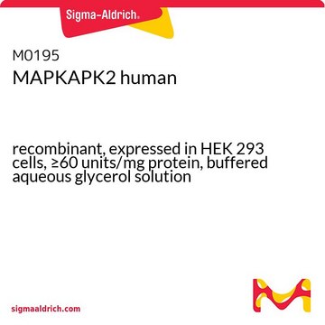 MAPKAPK2 human recombinant, expressed in HEK 293 cells, &#8805;60&#160;units/mg protein, buffered aqueous glycerol solution