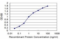 Monoclonal Anti-PDK4 antibody produced in mouse clone 1A10, purified immunoglobulin, buffered aqueous solution