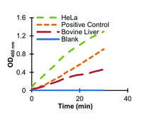 Phosphofructokinase (PFK) Activity Colorimetric Assay Kit sufficient for 100&#160;colorimetric&nbsp;tests