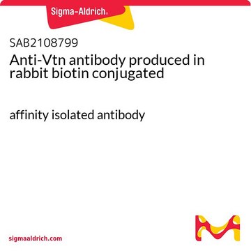 Anti-Vtn antibody produced in rabbit biotin conjugated affinity isolated antibody