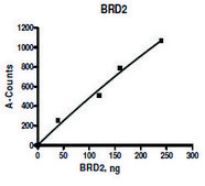 BRD2 (339-459) His tag human recombinant, expressed in E. coli, &#8805;90% (SDS-PAGE)