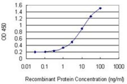 Monoclonal Anti-ARPC3, (N-terminal) antibody produced in mouse clone 2E11, purified immunoglobulin, buffered aqueous solution