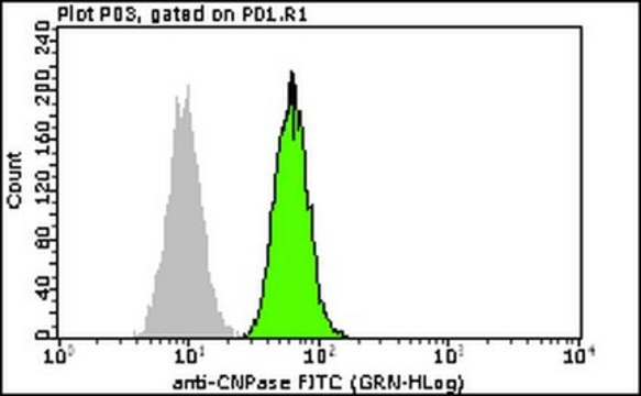 Milli-Mark Anti-CNPase-FITC Antibody, clone 11-5B clone 11-5B, Milli-Mark&#174;, from mouse