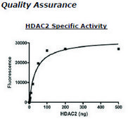 HDAC2 FLAG tag human recombinant, expressed in baculovirus infected insect cells, &#8805;50% (SDS-PAGE)