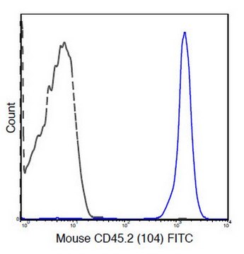 Anti-CD45.2 Antibody (mouse), clone 104 clone 104, 0.5&#160;mg/mL, from mouse
