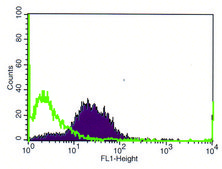 Monoclonal Anti-Nectin-2/PVRL2 antibody produced in mouse clone R2.5254.2, purified from hybridoma cell culture