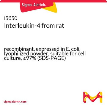 Interleukin-4 from rat recombinant, expressed in E. coli, lyophilized powder, suitable for cell culture, &#8805;97% (SDS-PAGE)