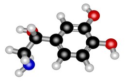 (±)-Norepinephrine (+)-bitartrate salt