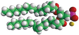 18:1 PA Avanti Research&#8482; - A Croda Brand
