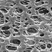 PES Membrane Filter, 0.45 &#956;m Pore Size Millipore Express&#174;, filter diam. 25&#160;mm, hydrophilic