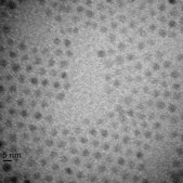 Iron oxide(II,III), magnetic nanoparticles solution 5&#160;nm avg. part. size (TEM), PEG functionalized, 1&#160;mg/mL Fe in H2O, dispersion