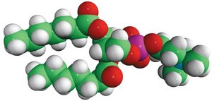 07:0 PC (DHPC) Avanti Research&#8482; - A Croda Brand