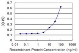 Monoclonal Anti-FANCB, (C-terminal) antibody produced in mouse clone 2B10, purified immunoglobulin, buffered aqueous solution