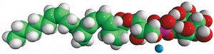 20:4 Lyso PI 1-arachidonoyl-2-hydroxy-sn-glycero-3-phosphoinositol (ammonium salt), powder