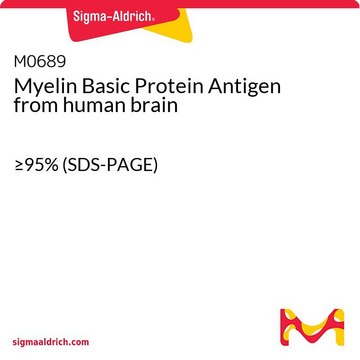 Myelin Basic Protein Antigen from human brain &#8805;95% (SDS-PAGE)