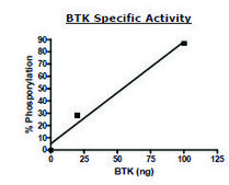 BTK active human recombinant, expressed in baculovirus infected Sf9 cells, &#8805;80% (SDS-PAGE)