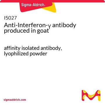 Anti-Interferon-γ antibody produced in goat affinity isolated antibody, lyophilized powder