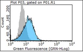 Anti-Integrin &#946;4 Antibody, clone ASC-8 clone ASC-8, Chemicon&#174;, from mouse