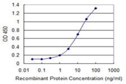 ANTI-GNL3 antibody produced in mouse clone 1G4, purified immunoglobulin, buffered aqueous solution