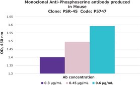 Anti-Phosphoserine antibody, Mouse Monoclonal clone PSR-45, purified from hybridoma cell culture