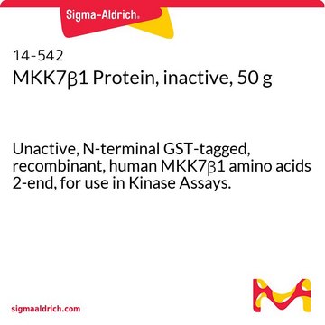 MKK7&#946;1 Protein, inactive, 50 g Unactive, N-terminal GST-tagged, recombinant, human MKK7&#946;1 amino acids 2-end, for use in Kinase Assays.