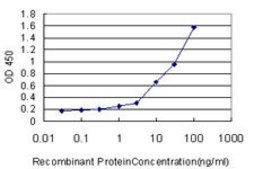 Monoclonal Anti-TLR9 antibody produced in mouse clone 1E8, purified immunoglobulin, buffered aqueous solution