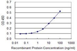 Monoclonal Anti-TNFRSF10B antibody produced in mouse clone 2D6, purified immunoglobulin, buffered aqueous solution