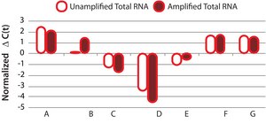 TransPlex&#174; Whole Transcriptome Amplification Kit DNA polymerase separate.