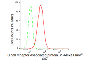 KD-Validated Anti B cell receptor associated protein 31 Antibody, clone 23GB3680, Rabbit Monoclonal clone 23GB3680, recombinant rabbit monoclonal, expressed in HEK293 cells