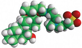 CHAPS Avanti Research&#8482; - A Croda Brand