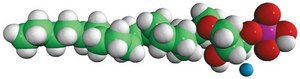 C18 LPA 1-O-octadecyl-2-hydroxy-sn-glycero-3-phosphate (ammonium salt), powder