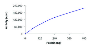 PHKG1, active, GST tagged human PRECISIO&#174; Kinase, recombinant, expressed in baculovirus infected Sf9 cells, &#8805;70% (SDS-PAGE), buffered aqueous glycerol solution