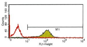 Monoclonal Anti-CD11b antibody produced in mouse clone ICRF44, purified immunoglobulin, buffered aqueous solution