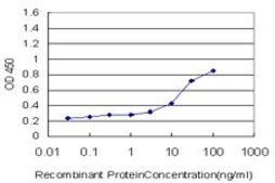 Monoclonal Anti-SOCS3 antibody produced in mouse clone 1E4, purified immunoglobulin, buffered aqueous solution