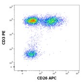 Monoclonal Anti-CD26-APC antibody produced in mouse clone BA5b, purified immunoglobulin, buffered aqueous solution