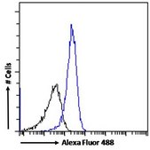 Anti-DPP4/CD26 antibody produced in goat affinity isolated antibody, buffered aqueous solution